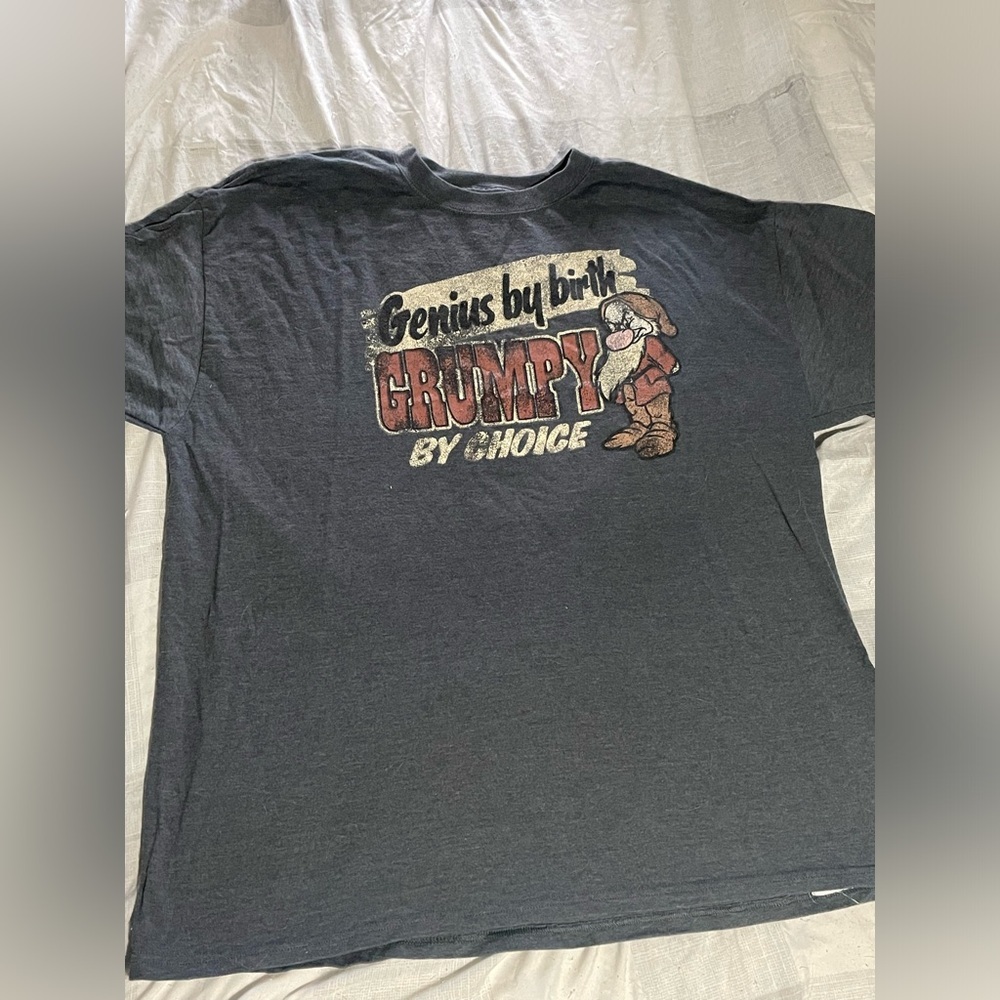 Walt Disney World by Hanes Snow White Grumpy T-Shirt Size 2XL